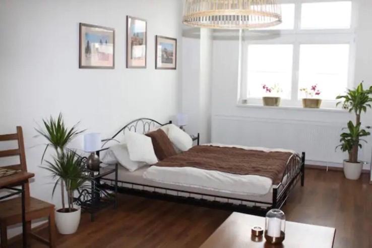 פראג Lenka'S Cozy Red Studio + Lenka'S Cozy Gold Apartment מראה חיצוני תמונה