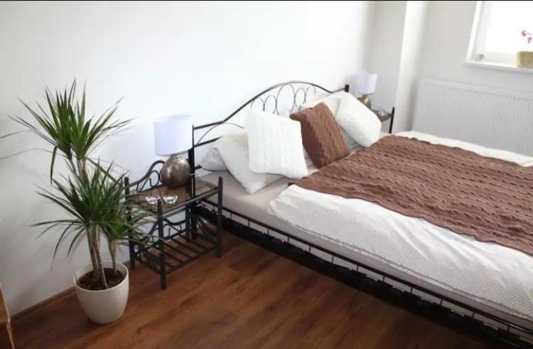 פראג Lenka'S Cozy Red Studio + Lenka'S Cozy Gold Apartment מראה חיצוני תמונה