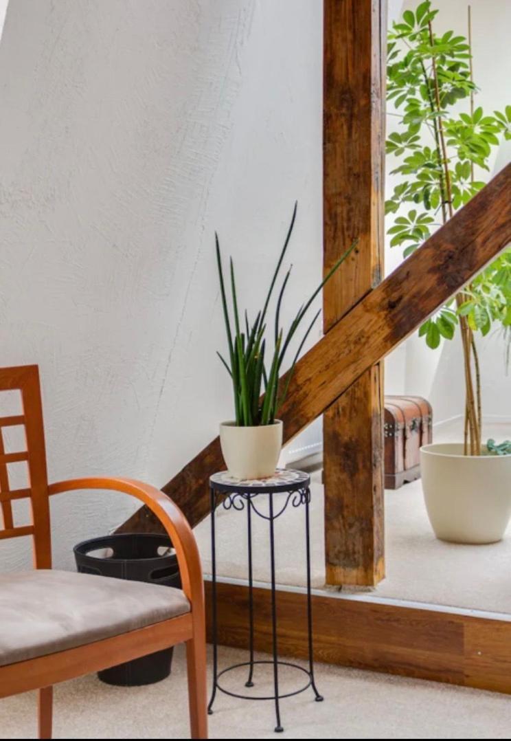 פראג Lenka'S Cozy Red Studio + Lenka'S Cozy Gold Apartment מראה חיצוני תמונה