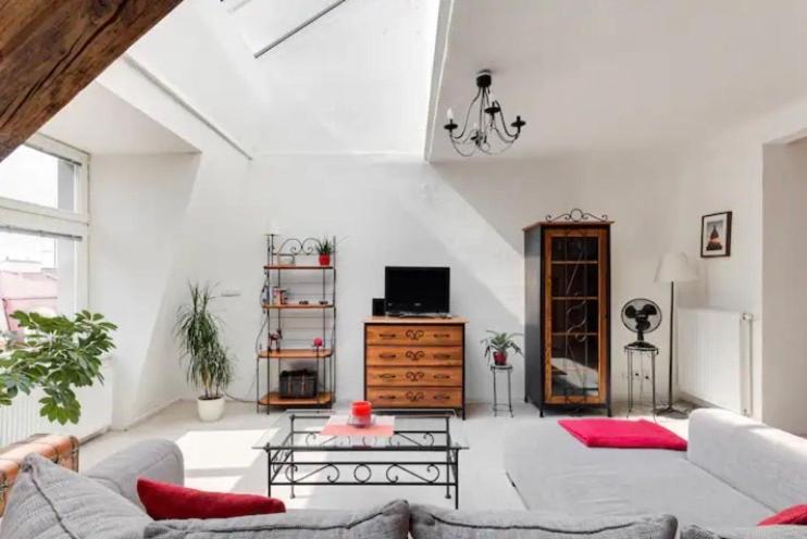 פראג Lenka'S Cozy Red Studio + Lenka'S Cozy Gold Apartment מראה חיצוני תמונה